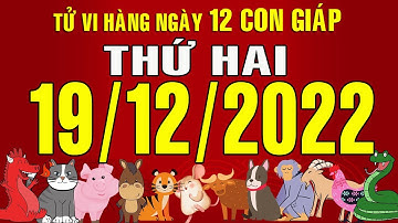 Tử vi Phương Đông hàng ngày, Thứ Hai (19-12-2022) của 12 con giáp, chi tiết, chuẩn xác & đầy đủ.
