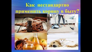 Как нестандартно применить корицу в быту