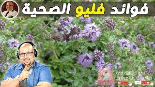 فوائد فليو الصحية وطريقة استعماله مع الدكتور عماد ميزاب imad mizab