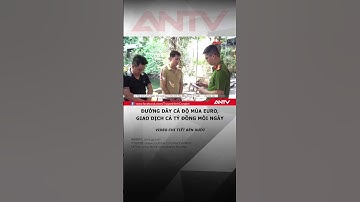 Triệt phá đường dây cá độ bóng đá EURO 2024 liên tỉnh #antv #shorts #tintuc #cadobongda #euro2024