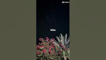 قران كريم بصوت الشيخ محمد اللحيدان #اكسبلور #قرآن #ترند