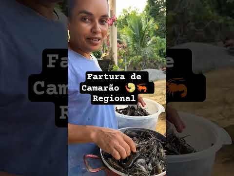 Iguarias de Camarão Regional (só o luxo) #getuliofreire