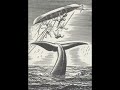 Moby Dick mp3