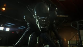 Get Skronked, Ripley