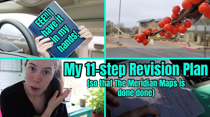 PRINTING OFF MY MANUSCRIPT // 11 step revision pla...