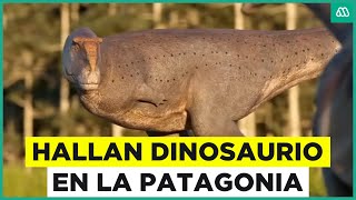 Hallan Dinosaurio Carnívoro En Patagonia Koleken Inakayali Tendría Brazos Más Cortos Que El T-Rex