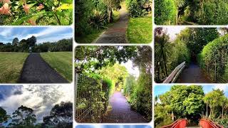 Candid Nature