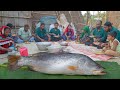 সামুদ্রিক কোরাল মাছ নিয়ে খালার বাড়ি - 8kg white snapper cooking by Aunty - অমৃত স্বাদের মাছের ঝোল