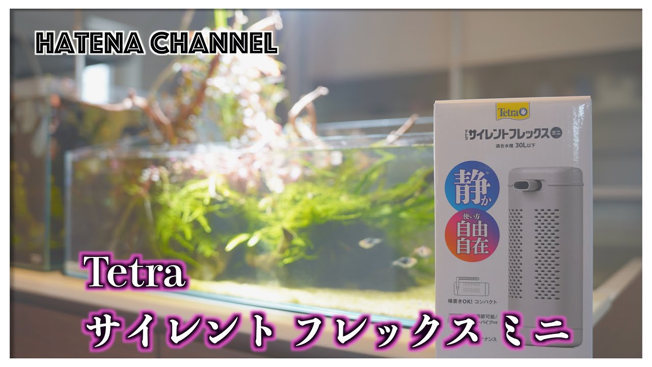 最新フィルター】レビュー [テトラ]サイレントフレックス ミニ