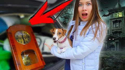 Элли ди страшное. Элиди дом призрак. Элли ди дом призрак. Элиди дом призрак. Элли ди мистика в доме призрак.