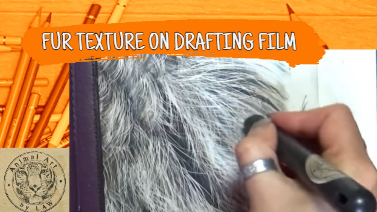 Colored Pencils on Drafting Film Creating Fur Texture YouTube