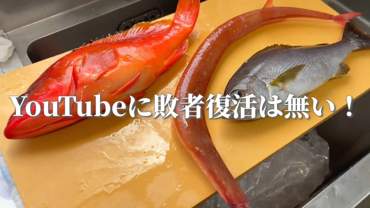 釣れたアカヤガラを食べたり 他に釣れた魚を食べたり