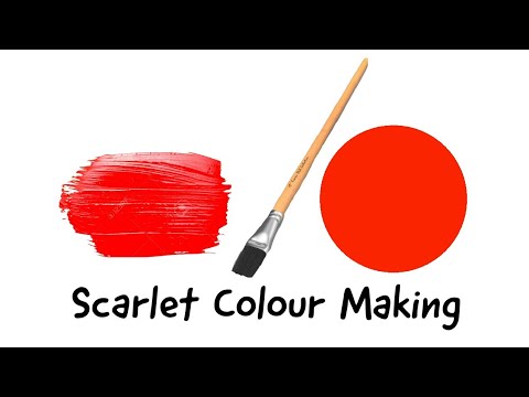 Scarlet Color – Scarlet Color Meaning and How to Use It