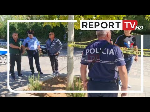 Video: Projektet e ardhshme të pushkëve snajperiste polake ZM Tarnow