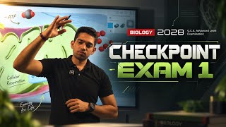 2028 Checkpoint Exam Discussion