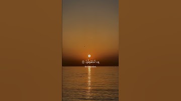 اكتب شيء تؤجر عليه ❤️  #قرآن #تلاوة_خاشعة #عبدالرحمن_مسعد #اكسبلور