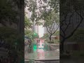 See The Rain See The Rain