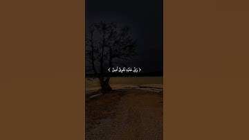 ارح سمعك وقلبك بتلاوه الشيخ ياسر الدوسري#الشيخ_ياسر_الدوسري #quran #قرآن #اكسبلور #لايك #تلاوات
