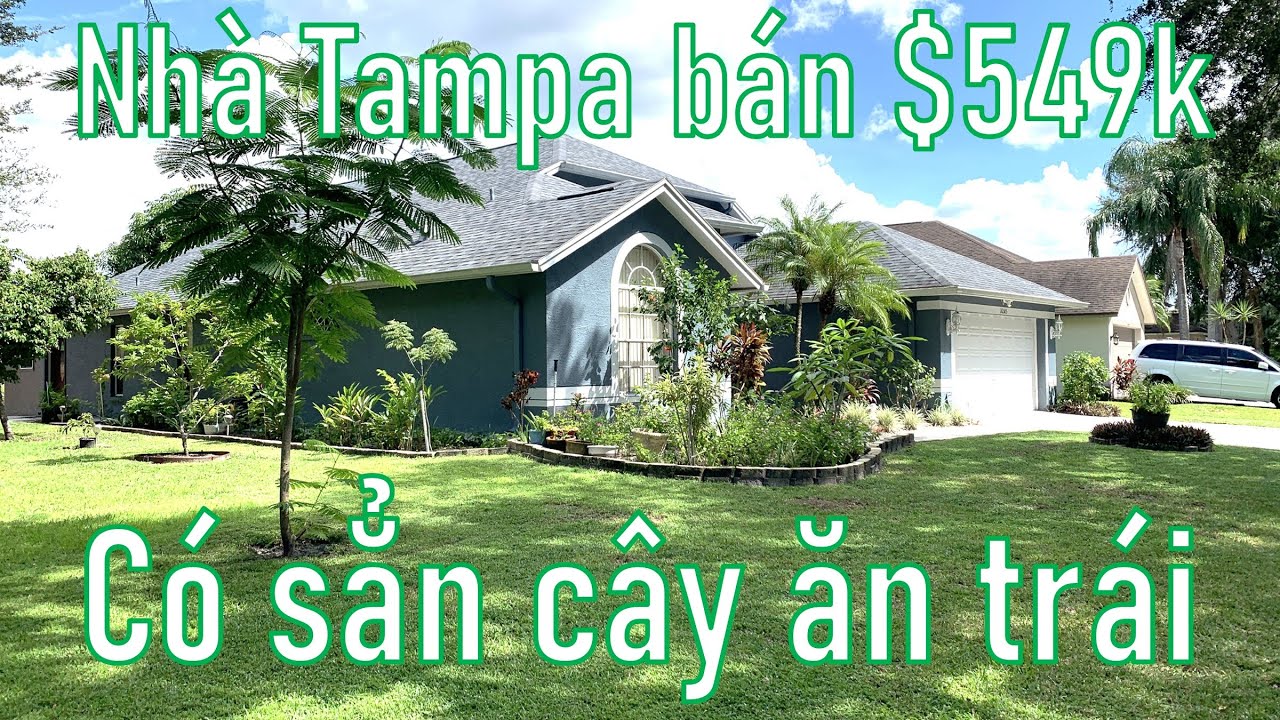 Nhà ở Tampa có trồng sẳn cây ăn trái của Vietnam, bán $549k (Vlog 334, Nhà cửa Mỹ)