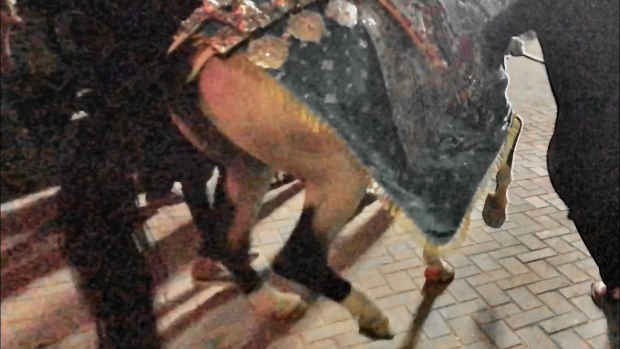 8 saffar laghario ka pir location Dr.Colony hirabad Hyderabad mr tombs bone care hospital jell road