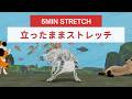 5分立ったままストレッチ🐾クールダウンにもオススメ😸✨
