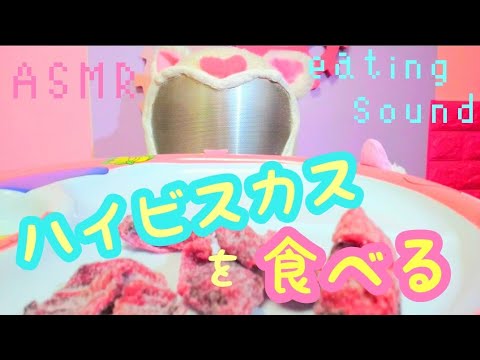 【asmr】ハイビスカスのお菓子、フリーズドライのお菓子を食べる音☆咀嚼音☆씹는 소리【音フェチ】