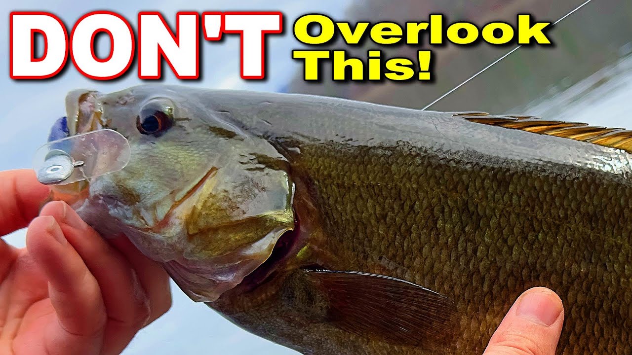 ABSOLUTE BEST Winter Bass Lure You’re Overlooking Right Now