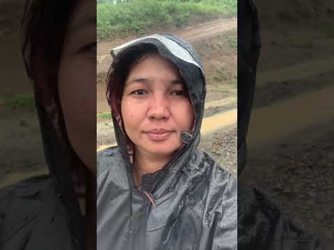 After Typhoon Going to Farm