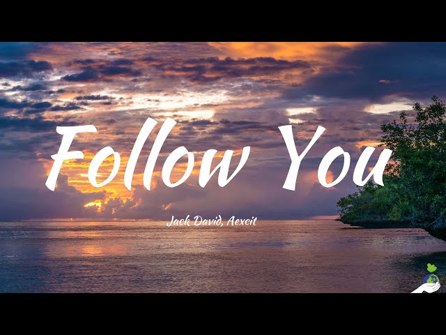 Jack David, Aexcit - Follow You (Lyrics)
