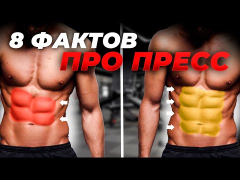 8 ФАКТОВ ПРО ПРЕСС, О КОТОРЫХ НИКТО НЕ ГОВОРИТ