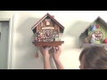 How to Set Up Your Cuckoo Clock