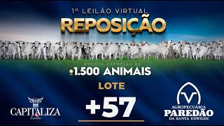LOTE +57