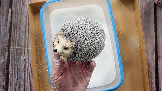 : #1978 Can You Grow Spikey Crystals From Fertiliser On A Hedgehog?