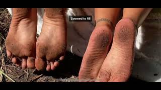 Download Lagu Two dirty soles #feet #soles #dirt MP3 Download Lagu Two dirty soles #feet #soles #dirt MP3