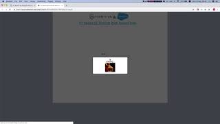 Load a Picklist from Salesforce with Record type filter.