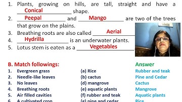Science Class IV Lesson 4 Revision