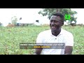 AYEKOO: Weddi Tomato Processing Factory