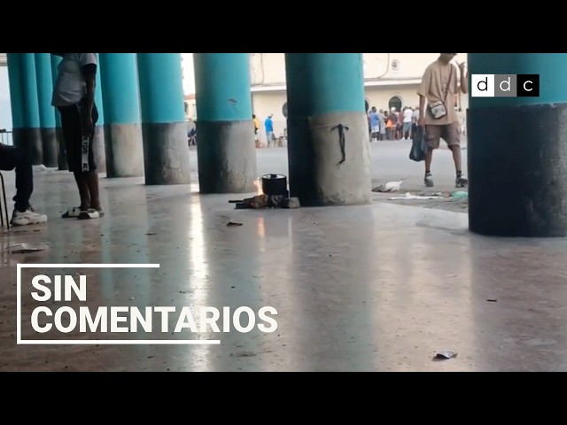 Crisis de combustible en Cuba: el carbón es un 'lujo', y la leña la 'solución'