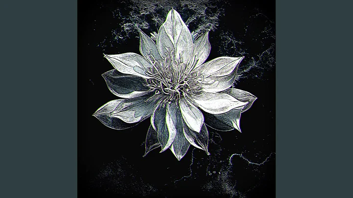 二項退格 - 天天要聞