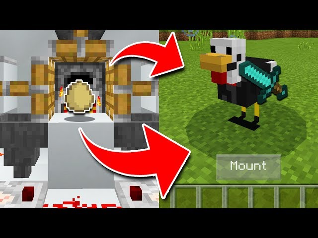 How To Train Chickens In Minecraft Pocket Edition Xbox Pc Youtube - descargar map of prison roblox life for mcpe apk última