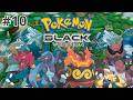 Pokemon Black #10 - Victory Road And Elite 4