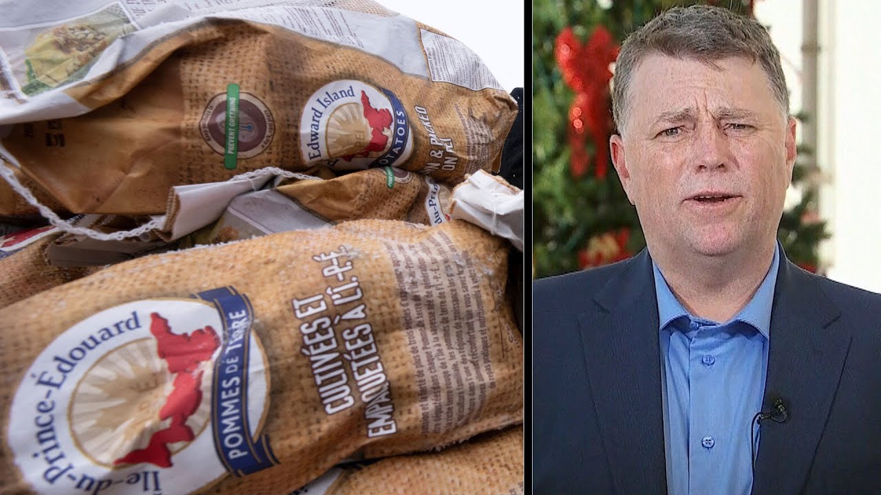 Ottawa lacking 'sense of urgency' on solving potato ban: P.E.I. premier