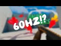 60hz in Animal Rivals!?!? Crazy improvements!?!?