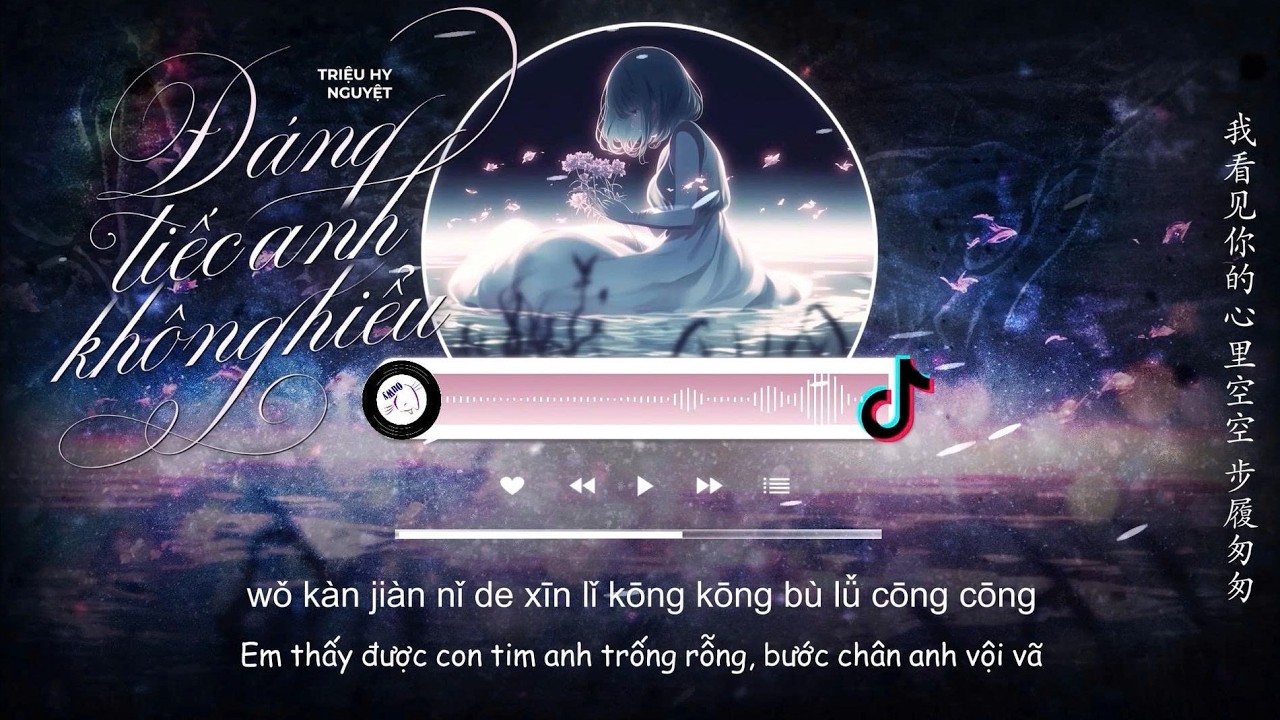 [Vietsub] Đáng Tiếc Anh Không Hiểu - Triệu Hy Nguyệt | 可惜你不懂 - 赵兮月
