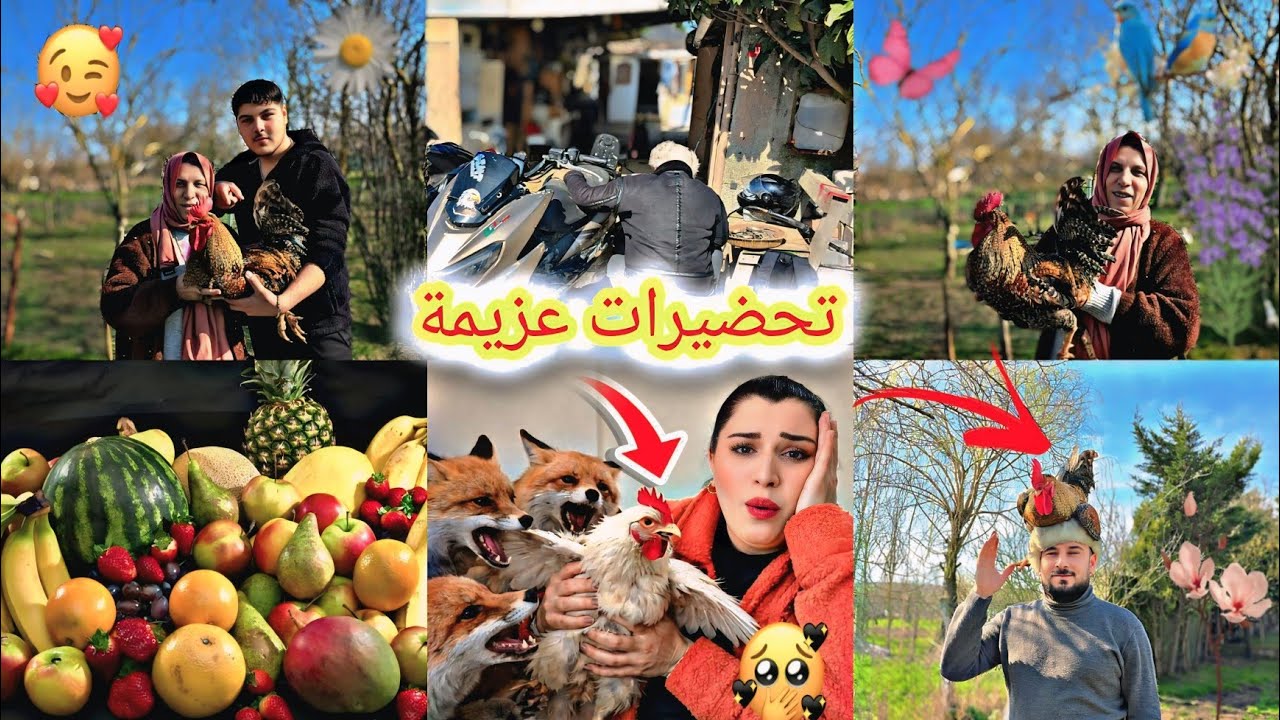 تحضيرات عزيمة 😍لبيت أهلي ✨🌙// ثعلب أخد ديك🐔تبعنا // كتير زعلنا🥹