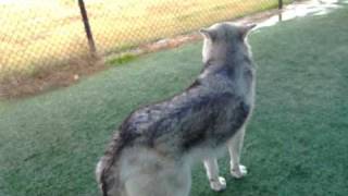 20101229 008