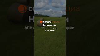 Новости АПК и пищевой индустрии #новости #корма #масло #вкусвилл #бизнес