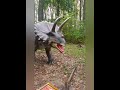 Новий парк DinoPark