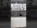 Tipps/ Tricks/ life hack/ tools/ Parkett/ Holz/ Fensterbank/ schleifen/ Vinyl/ Fliesen/ kitten/ ölen
