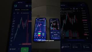 Signal-ai.net разносит рынок валютных пар ! #бинарныеопционы